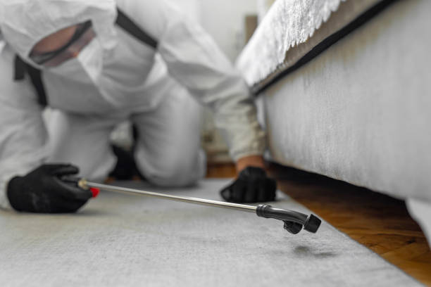 Professional Mosquito Control technician working in San Diego Country Estates, CA