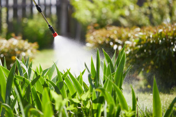 24/7 Emergency Mosquito Control experts in San Diego Country Estates, CA