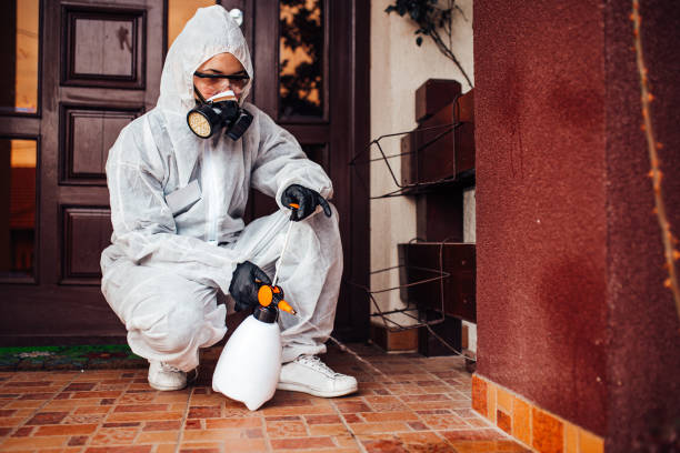 Reliable Mosquito Control contractor in San Diego Country Estates, CA by Nex Pest Control