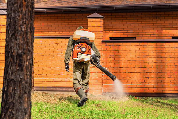 Trusted Termite Control service in San Diego Country Estates, CA - Nex Pest Control